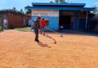 Babinsa Desa Karya Bersama Bantu Warga Jemur Jagung Hasil Panen