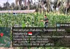 “Babinsa Koramil 1418-03/Kalukku Optimalkan Lahan Korem melalui Program Pemeliharaan Ternak dan Pertanian Terpadu”