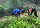 Hadir di Tengah-Tengah Petani, Babinsa Koramil 1401-03/Sendana Jadi Pelopor Ketahanan Pangan di Wilayah Binaan